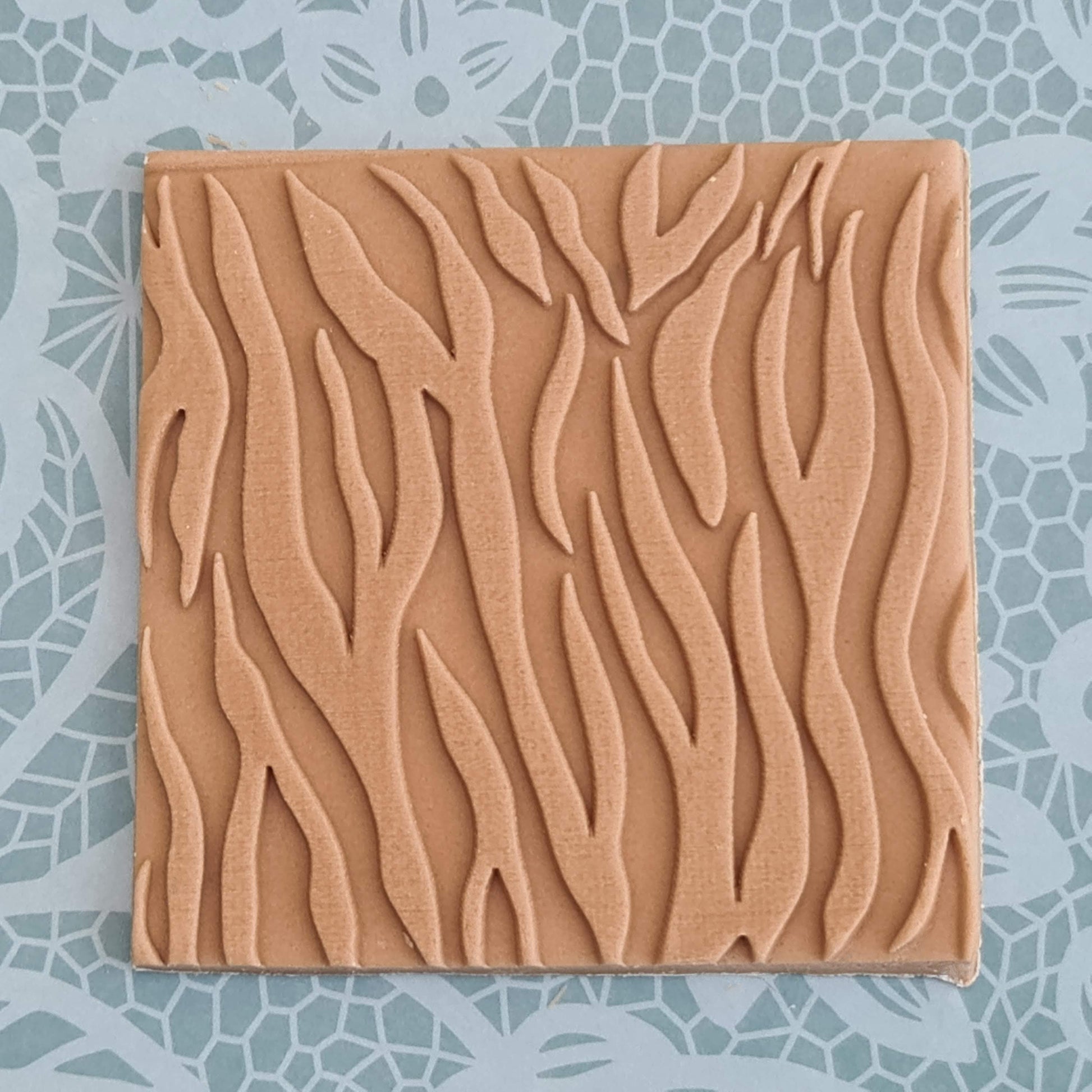 Safari - Zebra Pattern image 0