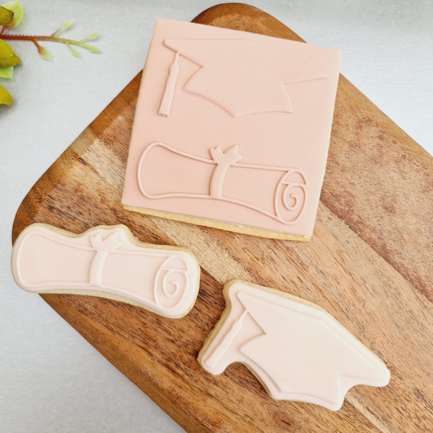 Teacher - Hat and Diploma -  DeBoss and Cutter image 0