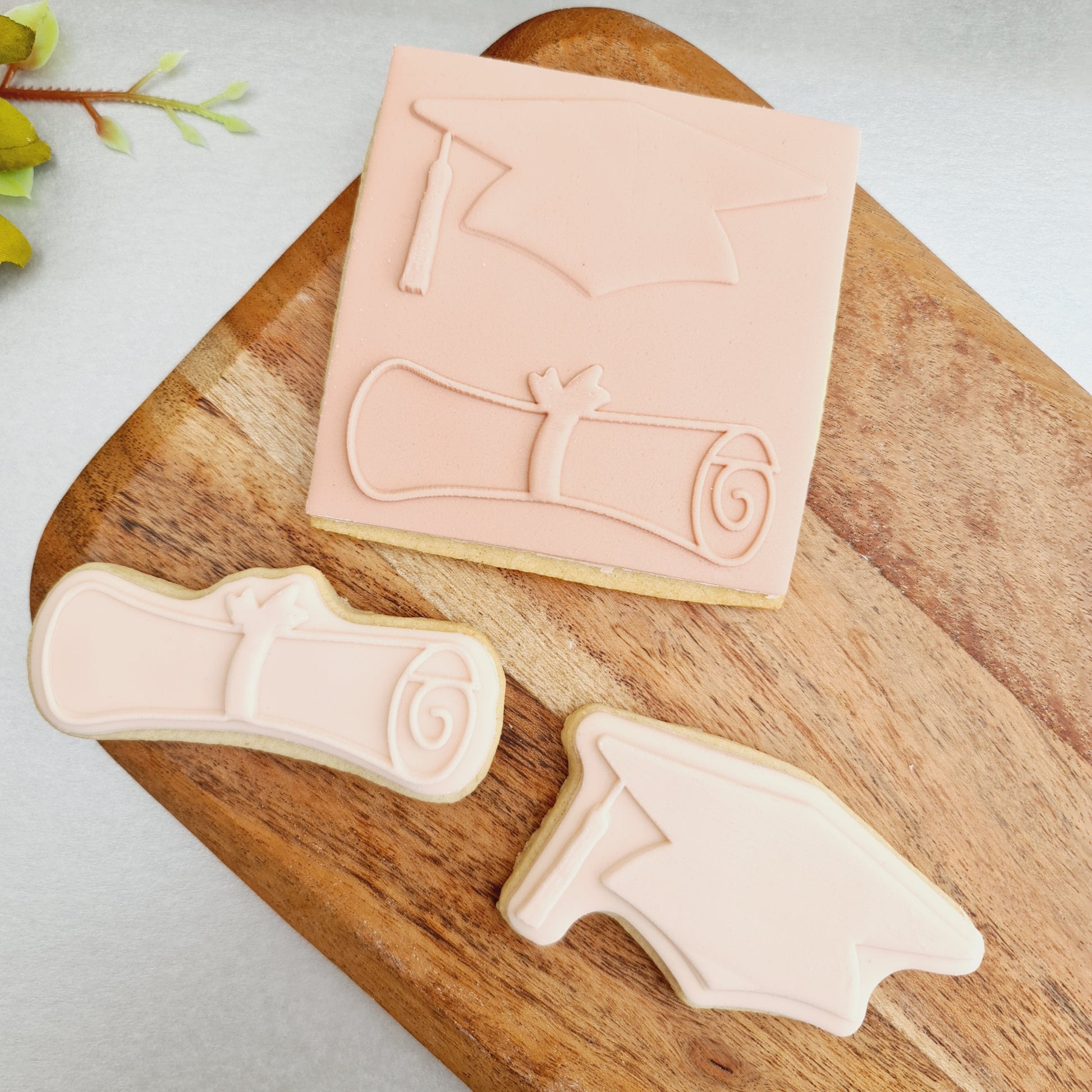 Teacher - Hat and Diploma -  DeBoss and Cutter image 0