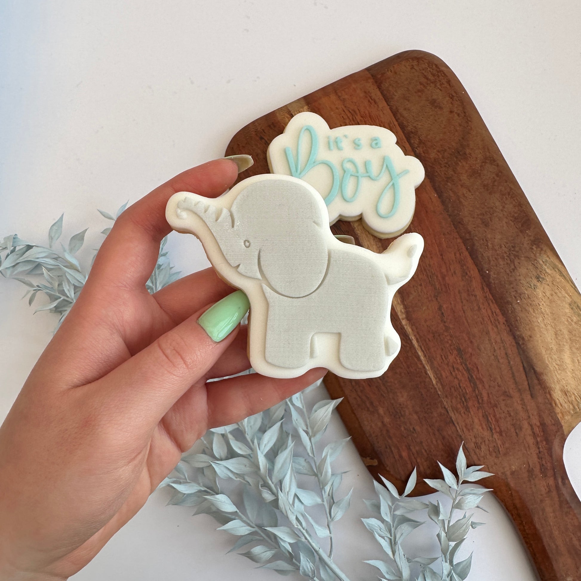 Elephant Boy image 3