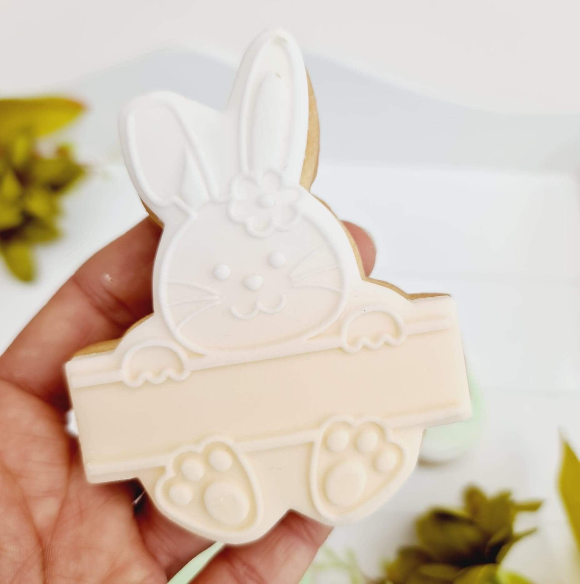 Bunny with Board - Girl -  Deboss and Cutter image 0