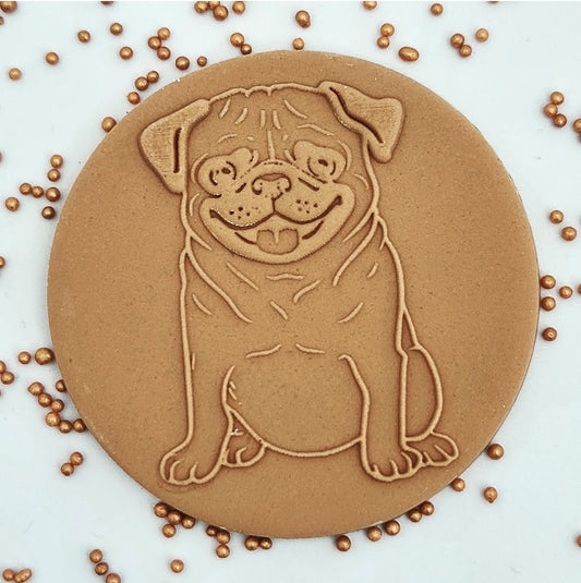 Cute dog  - Pug image 0