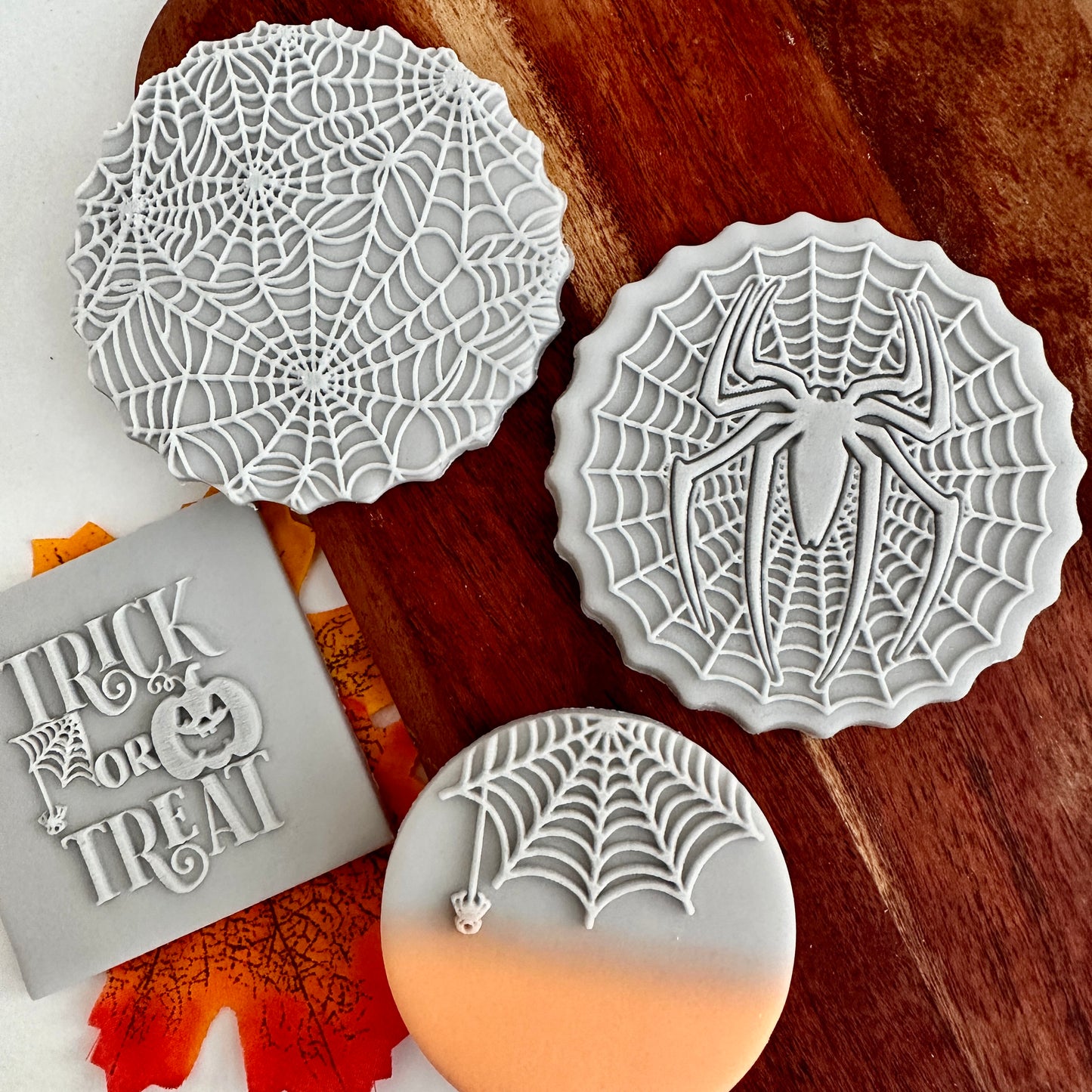 Spider in the web image 2