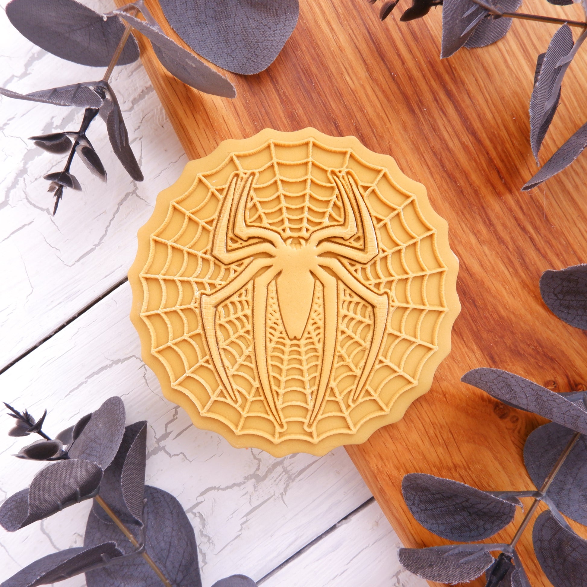 Spider in the web image 1