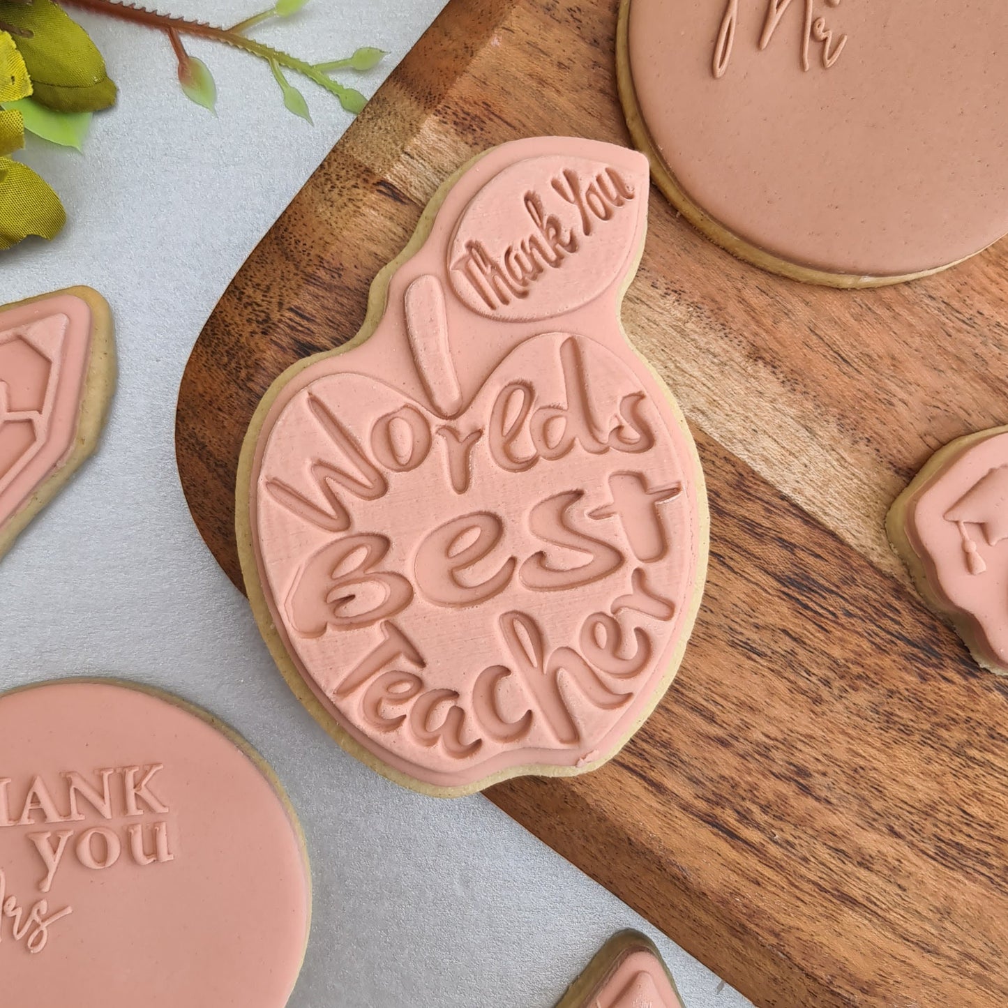 World`s Best Teacher - DeBoss and Cutter image 0