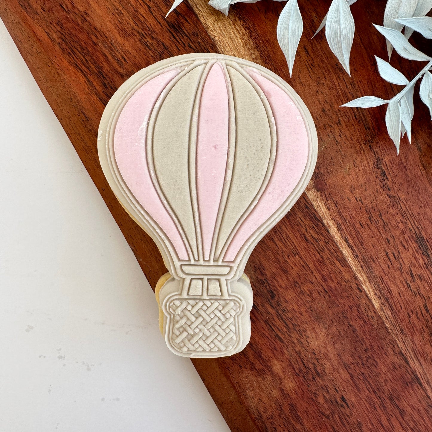 Hot air balloon image 1