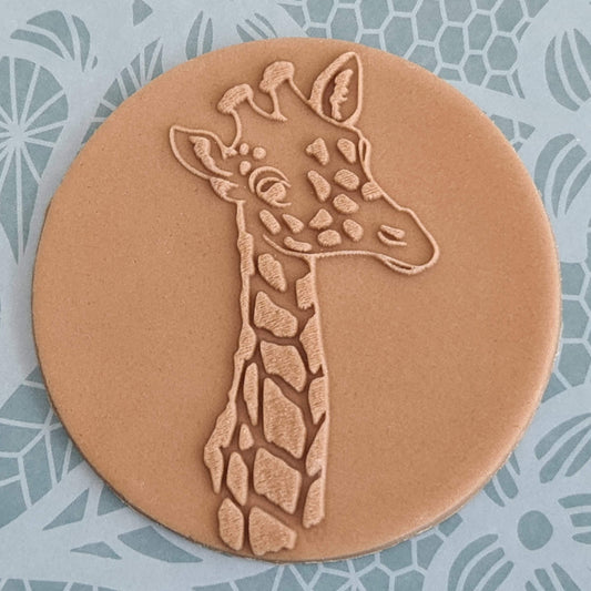 Safari - Giraffe image 0