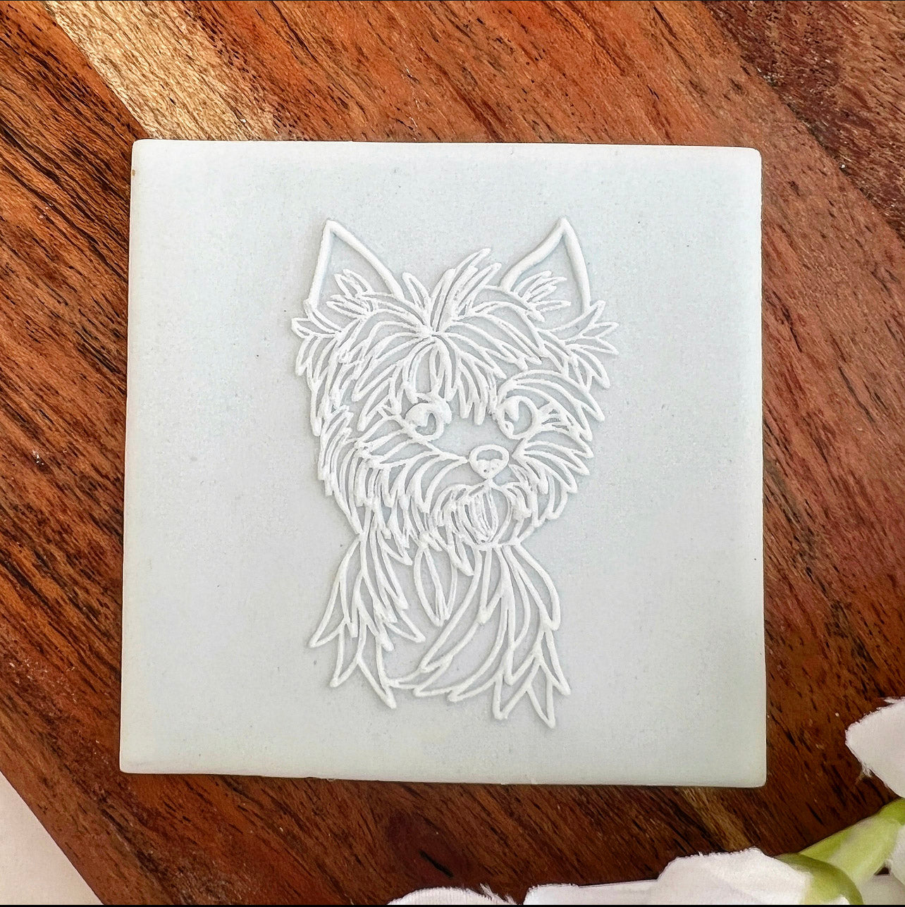 Cute dog  - Yorkie image 0