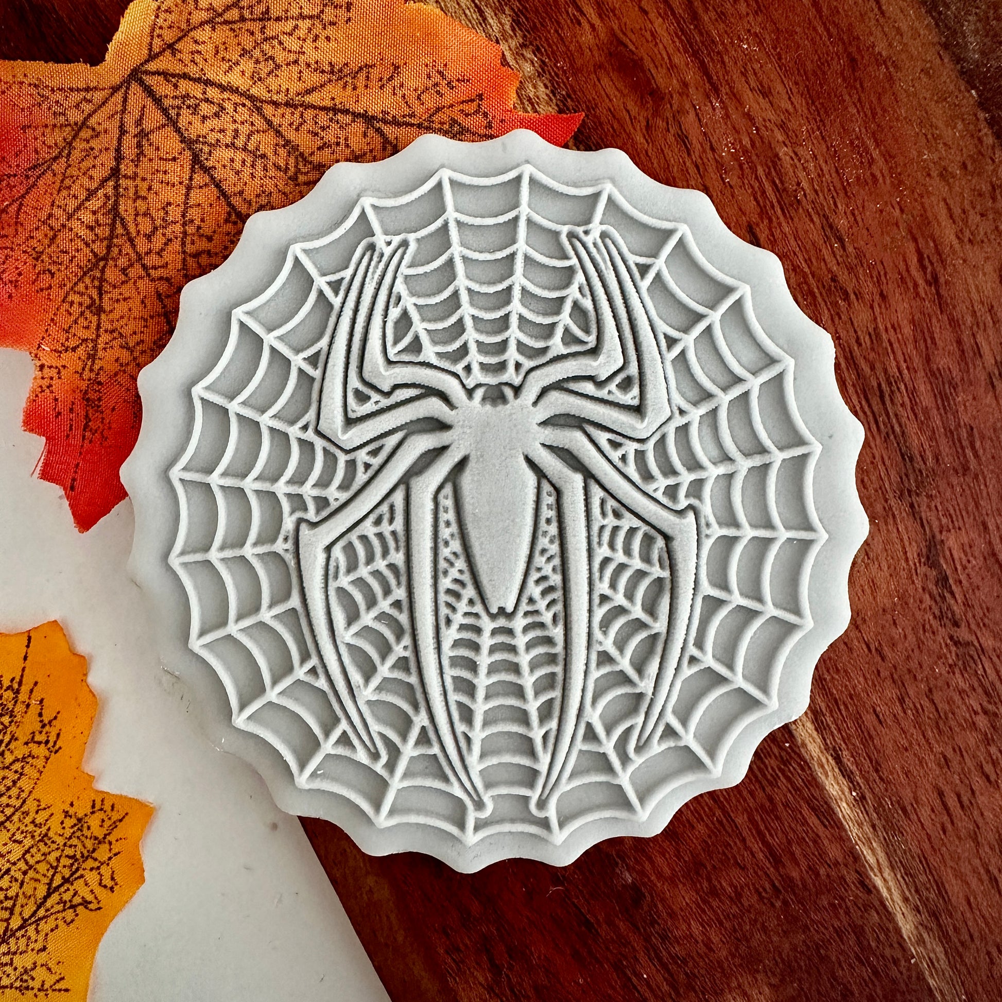 Spider in the web image 0