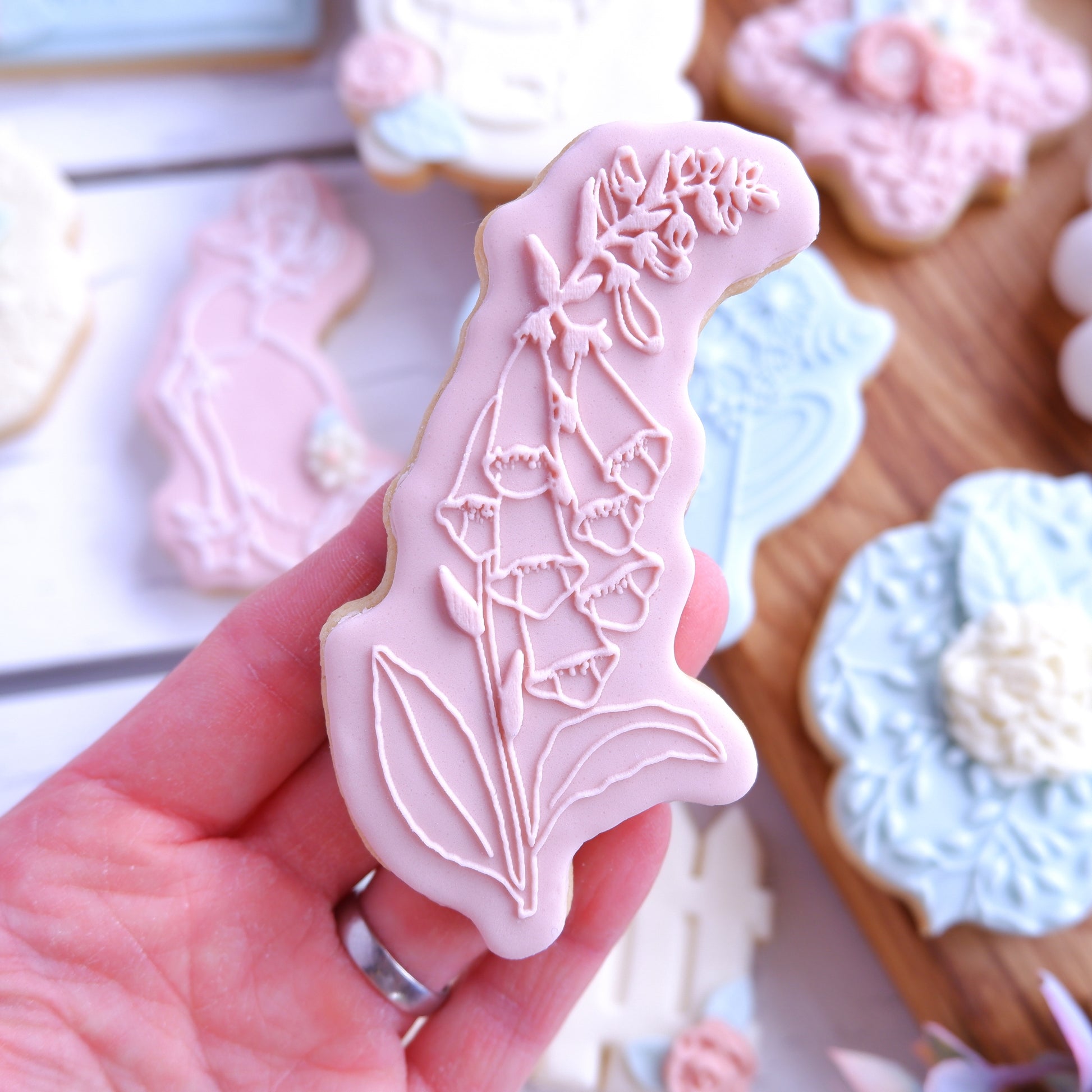 Peter Rabbit- Foxgloves Deboss & Cutter Combo image 0