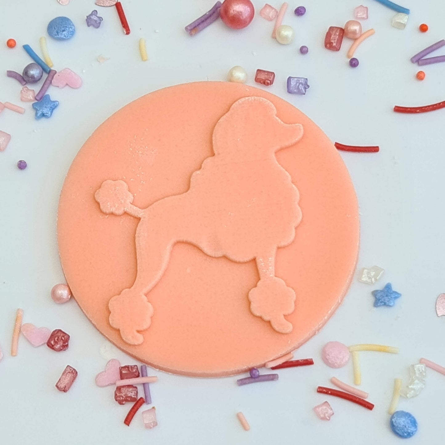 Paris -Poodle image 0