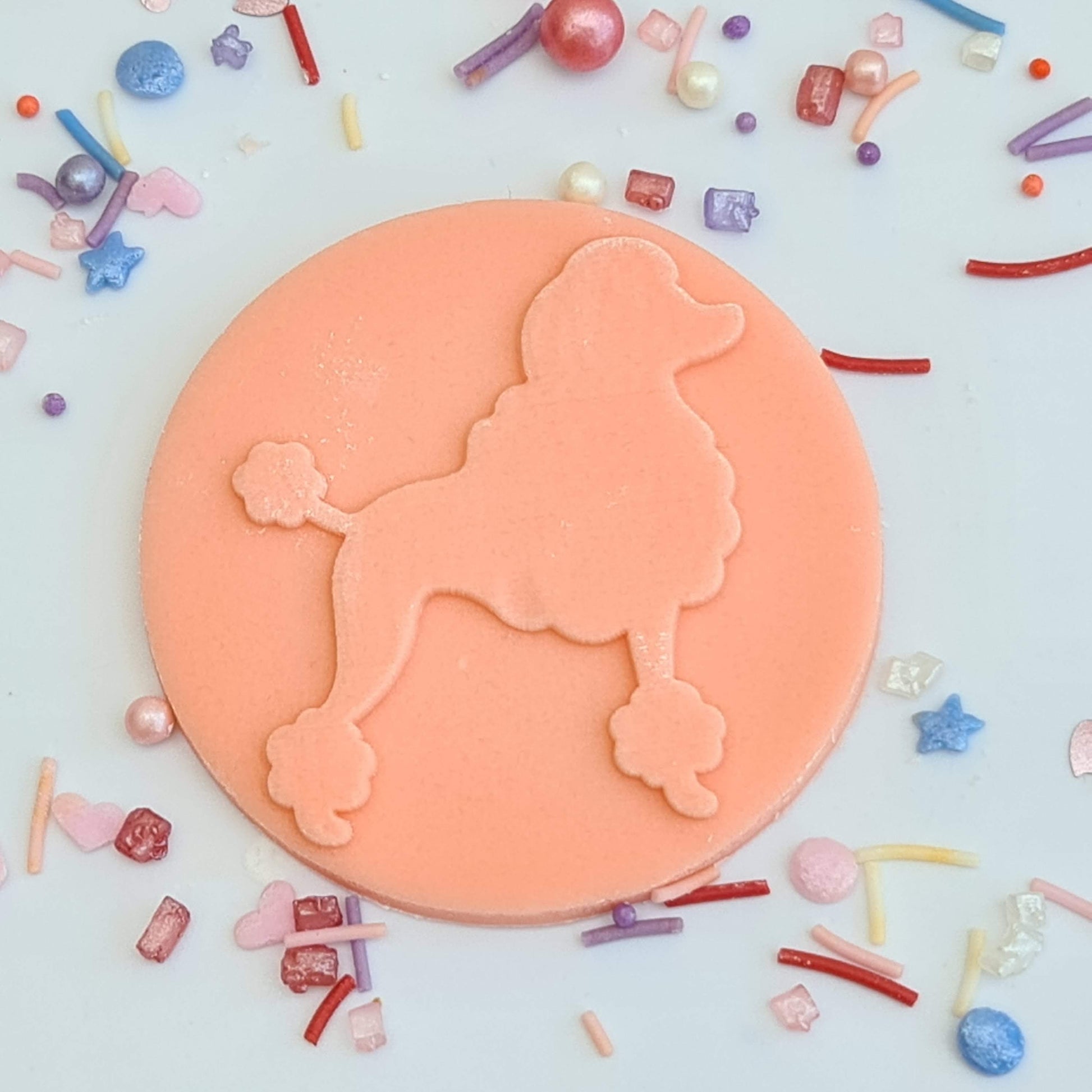 Paris -Poodle image 0