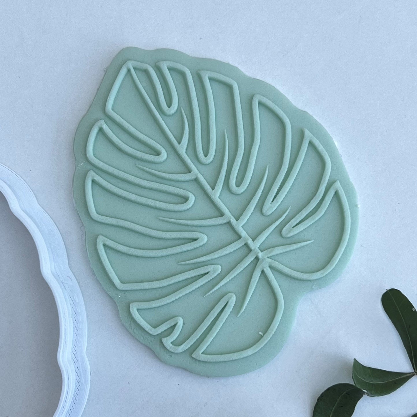 Palm Leaf -  DeBoss and Cutter image 0