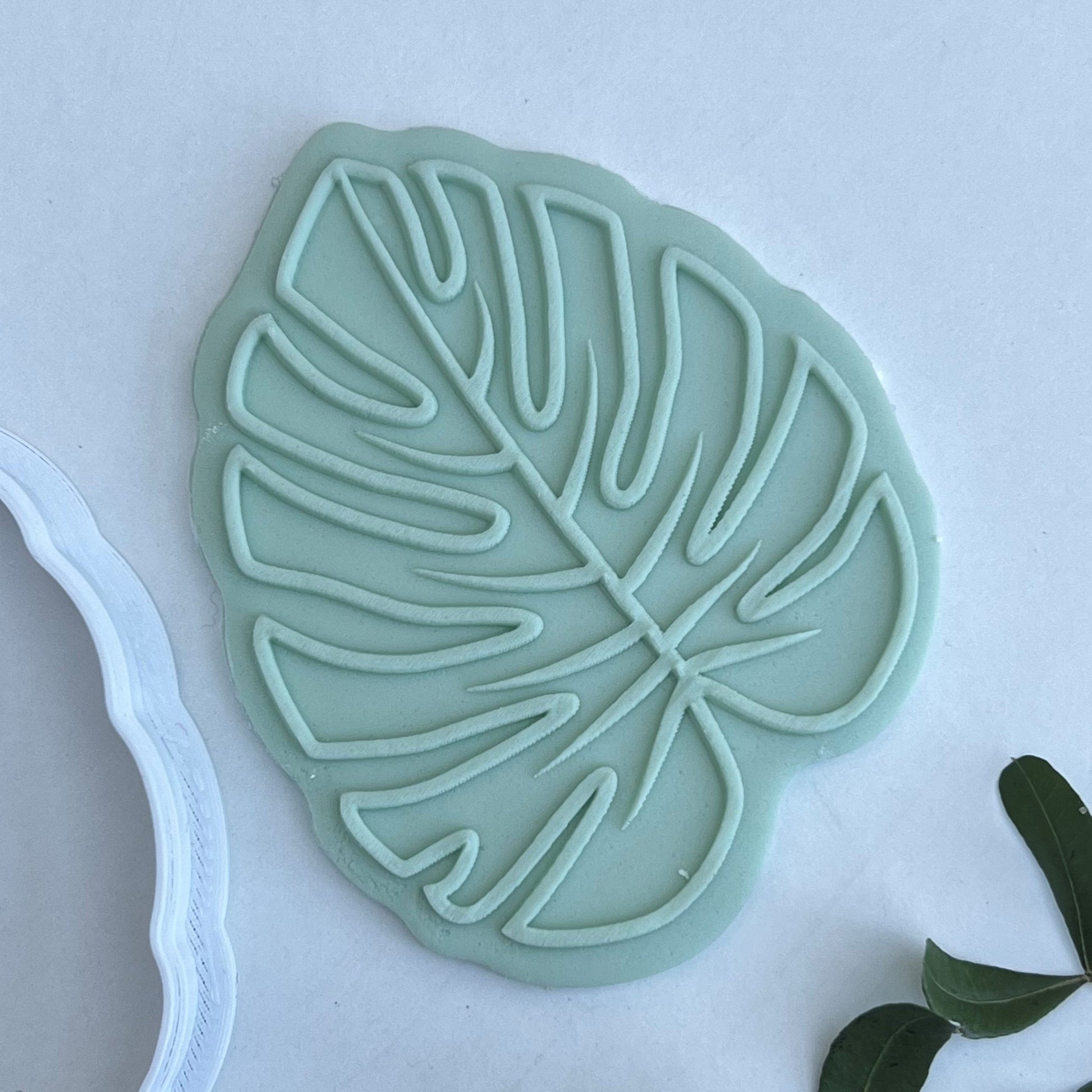 Palm Leaf -  DeBoss and Cutter image 0