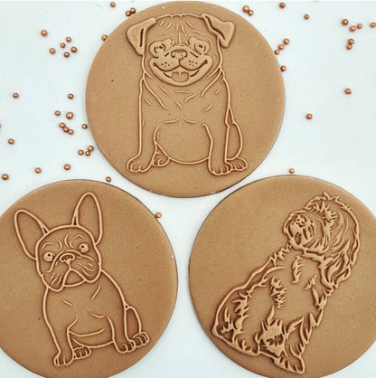 Cute dog  - Cockapoo image 1