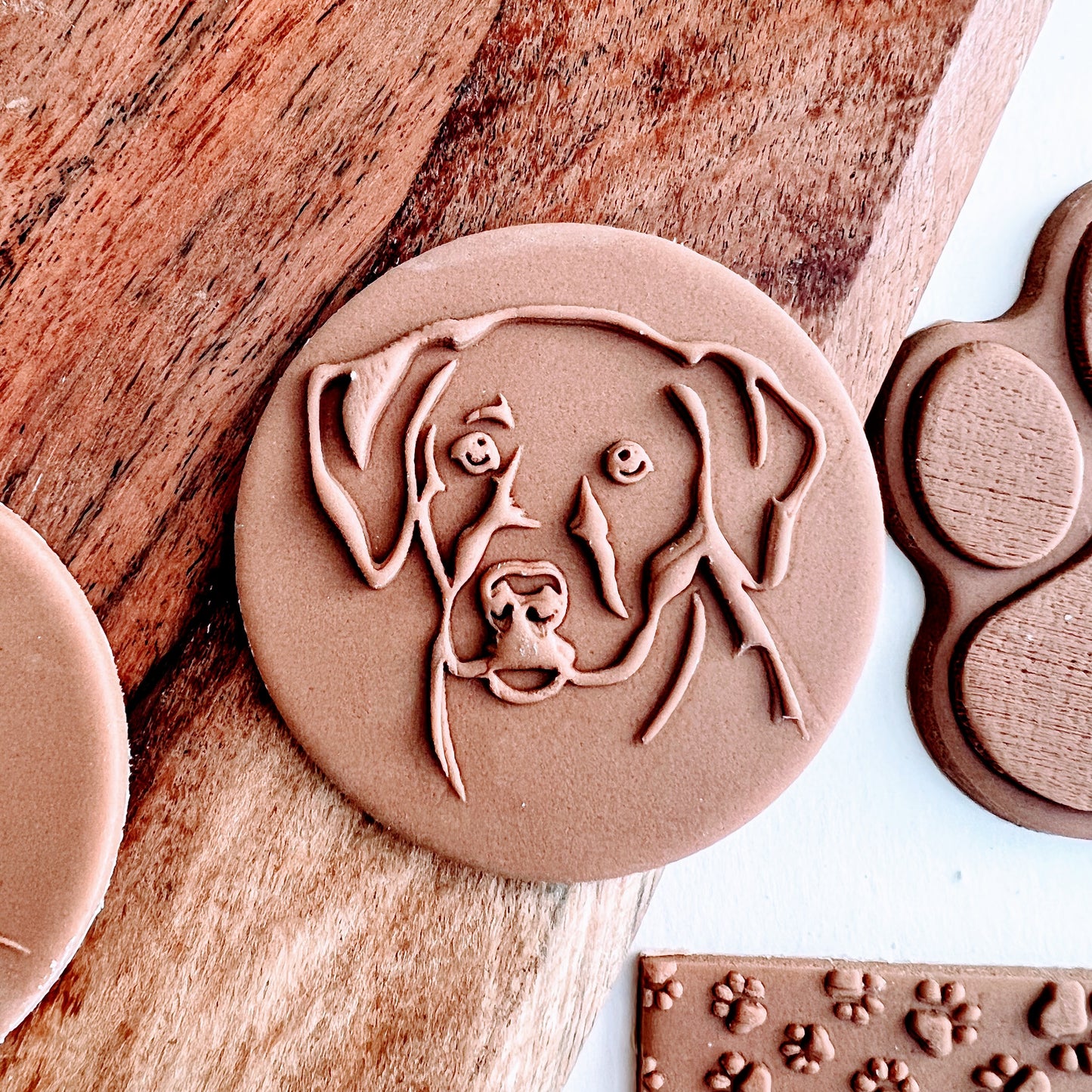 Cute dog  - Labrador image 0