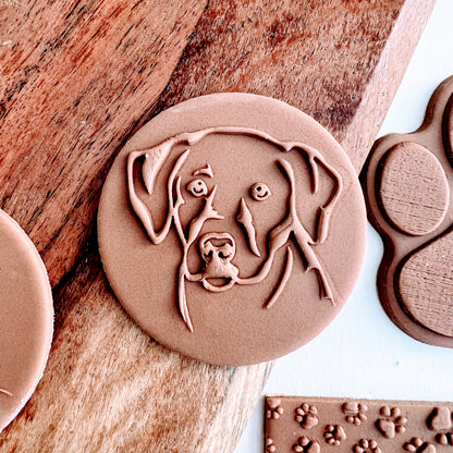 Cute dog  - Labrador image 0