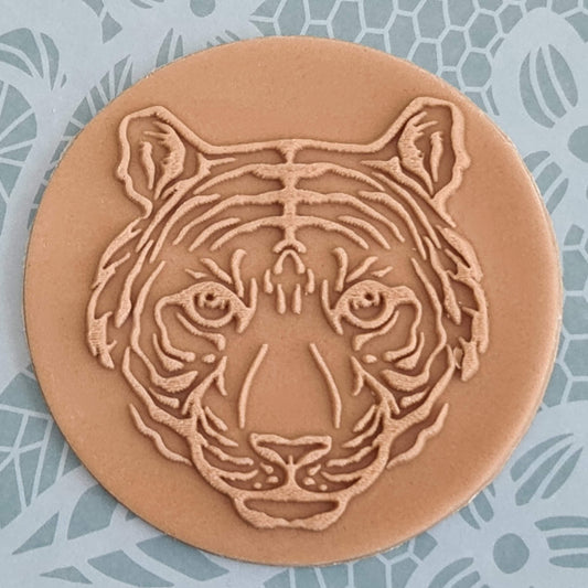 Safari - Tiger image 0