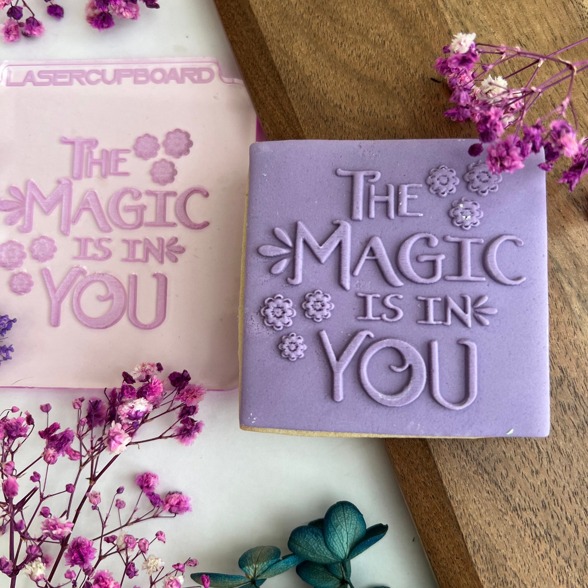Encanto - The Magic is in You -  deBoss and Cutter image 0