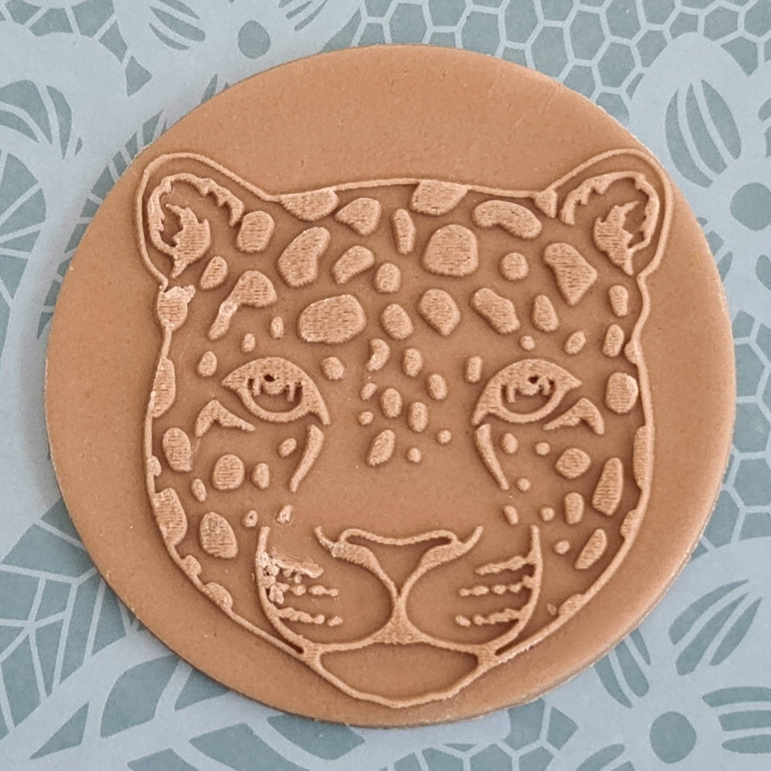 Safari - Leopard – LaserCupboard