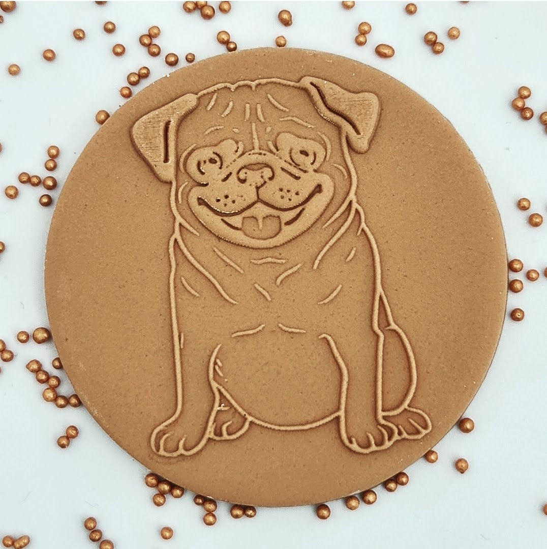 Cute dog  - Pug image 0