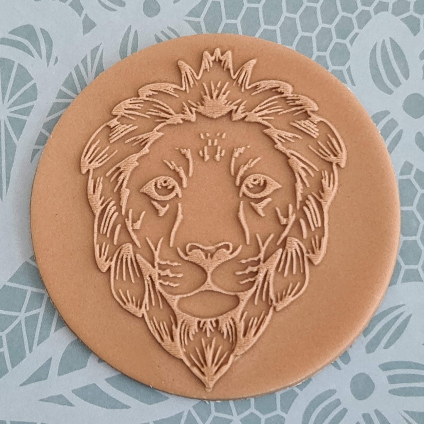 Safari - Lion image 0