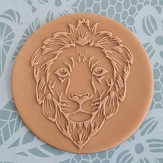 Safari - Lion image 0