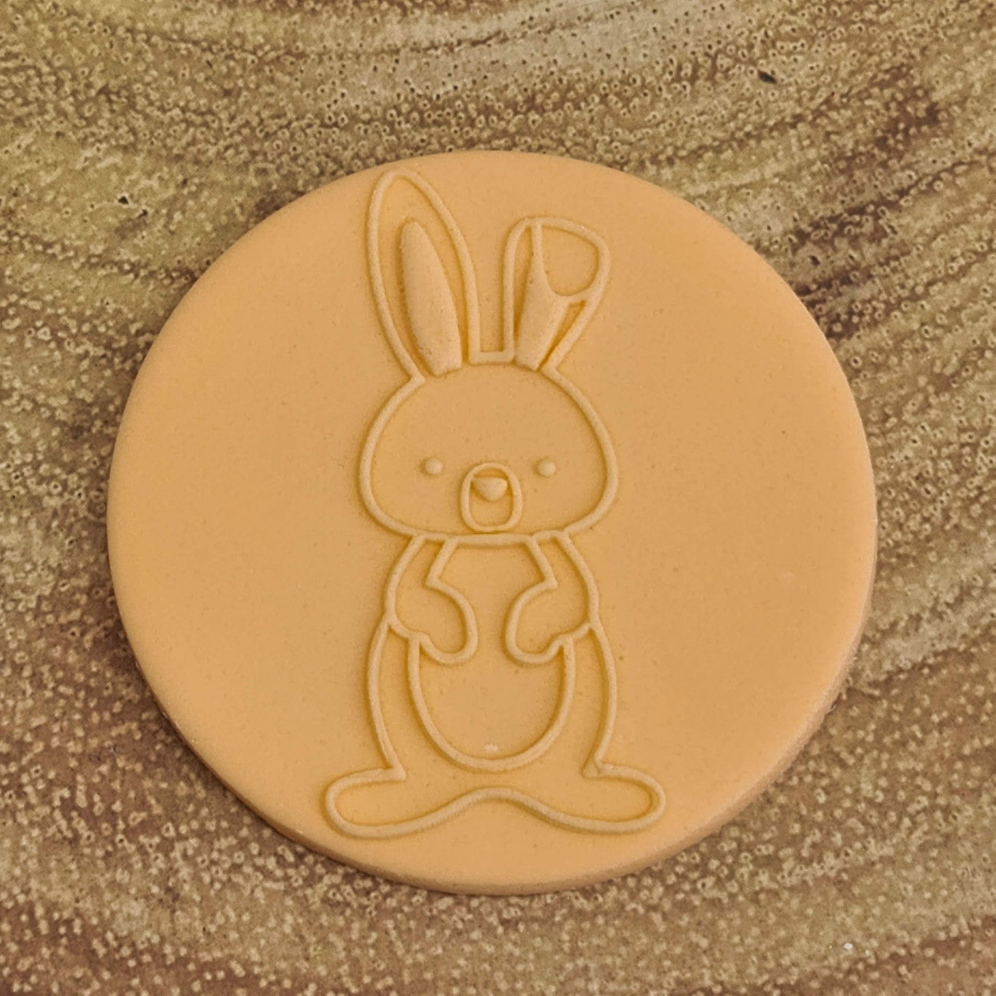 Woodland Animals - Cute Rabbit image 0