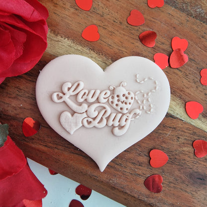 Valentine`s Day Love Bug image 0