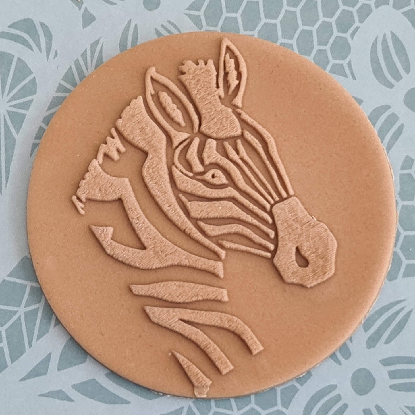 Safari - Zebra image 0