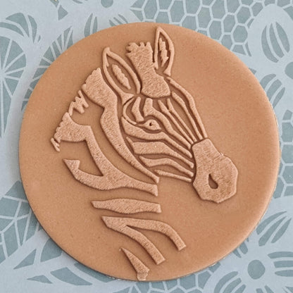 Safari - Zebra image 0